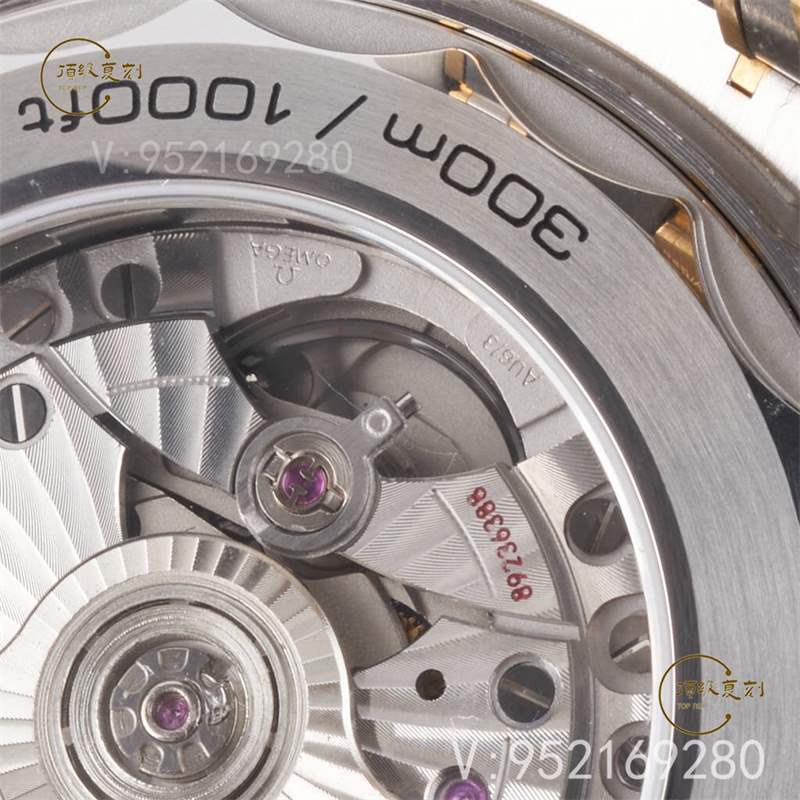 VS廠(SBF廠)黑海馬300機(jī)芯還會一眼假嗎,VS廠8800機(jī)芯還原正品避震器-復(fù)刻表